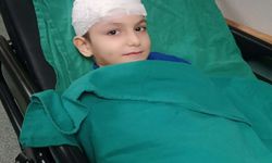 Sokak köpeklerinin saldırısında yaralanan Tunahan'ın ailesine, 5 milyon TL manevi tazminat ödenecek