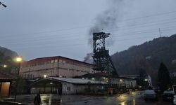 Taş kömüründe nadir toprak elementi araştırması yapılacak