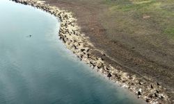 Tekirdağ'da gölette balık ölümlerine inceleme