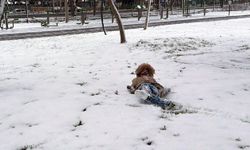 Tekirdağ'da kar yağışı (2)