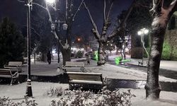 Tekirdağ'da kar yağışı etkili oluyor