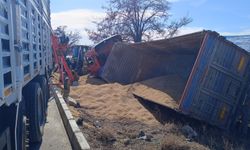 TIR, refüje ve ağaca çarparak devrildi