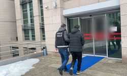 TIR'daki 51 kilo esrarı 'Mailo' buldu