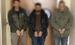 TIR'ın dorsesindeki kasaların arkasında 14 kaçak göçmen yakalandı