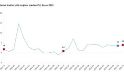 TÜİK: Hizmet üretimi kasımda arttı