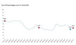 TÜİK: Tarım ürünleri üretici fiyatları aralıkta arttı
