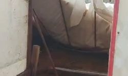 Üzerinde kar biriken çadır çöktü, 3 küçükbaş öldü