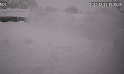 Üzerinde kar biriken seranın çökme anı kamerada