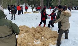 Vakıflar Genel Müdürlüğü tarafından yaban hayvanları için doğaya yem bırakıldı