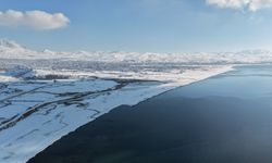 'Van Gölü Havzası Su Yönetim Merkezi'nin oluşturulması gerek'