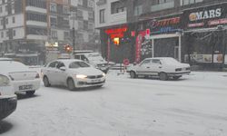 Van'da 296 yerleşim yeri ulaşıma kapandı