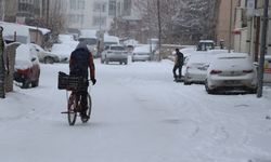 Van'da 363 yerleşim yeri ulaşıma kapandı