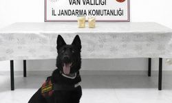 Van'da İran uyruklu yolcu, 510 gram eroin ile yakalandı