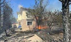 'Yangını durdurmak ve önlemek için geçiş kuşaklarını oluşturmak gerekiyor'