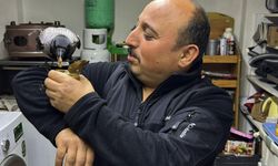 Yaralı halde bulup tedavi ettirdiği karga, iş yerinde yanından ayrılmıyor