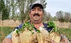 Yeğeninin eski eşi tarafından tabancayla öldürüldü