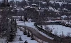 Yiyecek bulamayan yılkı atları kent merkezine indi