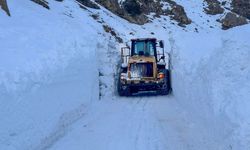 Yolu çığ nedeniyle kapanan mahalledeki 2 hastayı, ekipler hastaneye ulaştırdı