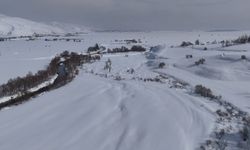 Yüksekova'da ördekler, yüzeyi kısmen buz tutan derede yüzdü