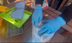 12 ilde 15 organize suç örgütüne operasyon: 61 tutuklama