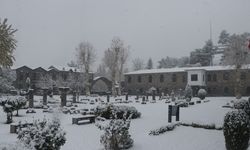 '20 yıl sonra bu derece etkili olan kar yağışı doğadaki canlılığı ve topraktaki zenginliği artıracak'