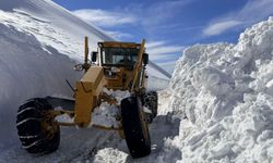 3 bin 300 rakımlı mezra yolunda karla mücadele sürüyor / Ek fotoğraflar