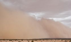 ABD'de kum fırtınası: 4 ölü, 29 yaralı