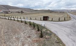 Akın Gürlek'in Adalet Bakanlığı görevine getirilmesi, köyünde sevinçle karşılandı