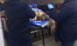 Aksaray'da 2'si kadın 3 kişi ölü bulundu