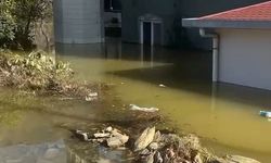 Antalya'da kuvvetli yağış 6 ilçede hasara neden oldu, mahsur kalan hayvanlar kurtarıldı (3)