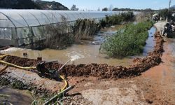 Antalya'da kuvvetli yağış 7 ilçede hasara neden oldu, mahsur kalan hayvanlar kurtarıldı (5)