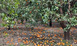 Antalya'yı sağanak vurdu; 7 ilçede okullar tatil edildi (5)