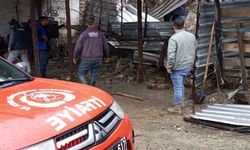 Aydın'da sağanak nedeniyle istinat duvarı çöktü; altında kalan 4 koyun öldü