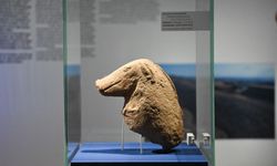 Bakan Ersoy: Göbeklitepe ve Taş Tepeler'deki keşifler, insanlık tarihini yeniden yorumlamamızı sağlıyor