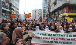 Bakırhan: Suriye'deki anlaşmayı olumlu görüyoruz