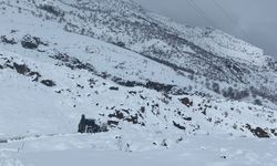 Batman'da 115 yerleşim yerinin yolu kardan kapandı