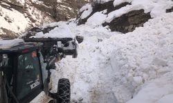 Beytüşşebap'ta eğitime kar engeli