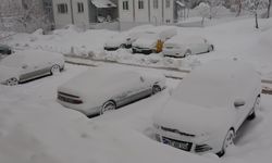 Bitlis'in yükseklerinde kar kalınlığı 30 santimetreye ulaştı; 165 yerleşim yeri ulaşıma kapandı