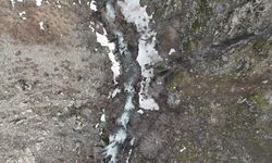 Bitlis'te hafif ticari araç, dereye uçtu: 3 ölü, 5 yaralı