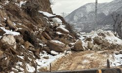 Bitlis'te heyelan nedeniyle 4 köy yolu ulaşıma kapandı