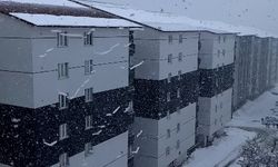 Bitlis'te kardan kapanan 125 köy ve mezra yolu ulaşıma açıldı