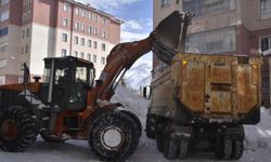 Bitlis'te kardan kapanan 92 köy yolu açıldı