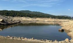 Bodrum'a su sağlayan barajlar doluyor