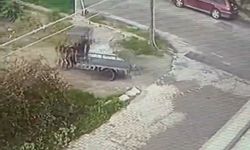 Bodrum'da araziye moloz döken kişiye 50 bin lira ceza; o anlar kamerada