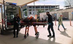 Budadığı ceviz ağacından düşüp yaralandı