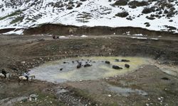 Budaklı Kaplıcası fotoğrafçıların ilgi odağı oldu