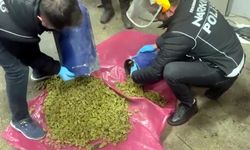 Bulgaristan plakalı otomobilde 24,5 kilo skunk ele geçirildi