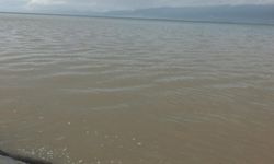 Burhaniye'de sağanak; yollar göle döndü, evlerin bodrum katlarını su bastı