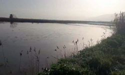 Büyük Menderes Nehri yine taştı; Köşk ilçesinde tarım alanlarını su bastı
