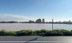 Büyük Menderes Nehri yine taştı, tarım arazileri su altında kaldı / Ek fotoğralar